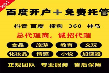 行业领先企业的SEM推广策略揭秘